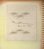 画像4: ＧＨＱ専属理容師旧蔵アルバム ■ Ｍ.Ｂ.リッジウェイ将軍、Ｗ.ウェッブ裁判長らの直筆サイン入色紙を含む