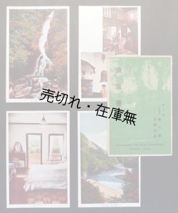 画像1: 彩色絵葉書「東京府下奥多摩 遊園地楽々園 ホテル多摩山荘」八枚 ■ 戦前