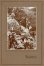 画像17: 100年前の日本人の「肖像写真」一括 ■ 明治中期〜大正期頃
