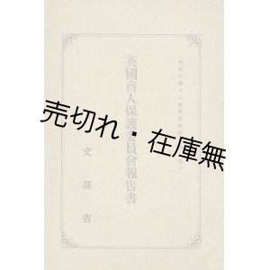 画像: 英国盲人保護委員会報告書■文部省　大正8年