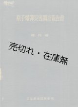 画像: 原子爆弾災害調査報告書 総括編■日本学術振興会　昭和26年