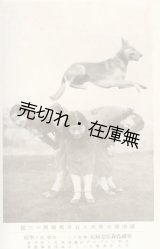 画像: 絵葉書 「澤田博士愛犬と石井舞踊団の三嬢」 ■ 戦前