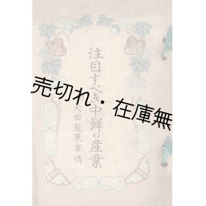 画像: 注目すべき中鮮の産業 附大田発展事情 ■ 吉永成一編・刊（忠清南道）　大正8年