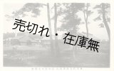 画像: 開院記念「東京府立松澤病院絵葉書」十二枚 ■ 所在地：荏原郡松澤村　大正8年頃