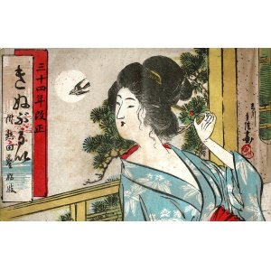 画像: 『藝娼妓きぬふるひ（きぬぶるひ）』九冊 ■ 野田活版所（名古屋市伊勢町）　明治33〜45年