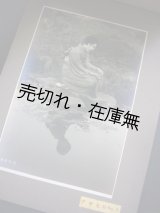 画像: 印画紙見本帖 ■ 日本写真工業株式会社　戦前　