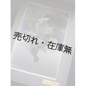 画像: 印画紙見本帖 ■ 日本写真工業株式会社　戦前　