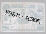 画像: 大日本スポーツアルバム　『キング』附録■大日本雄辯会講談社　昭和4年